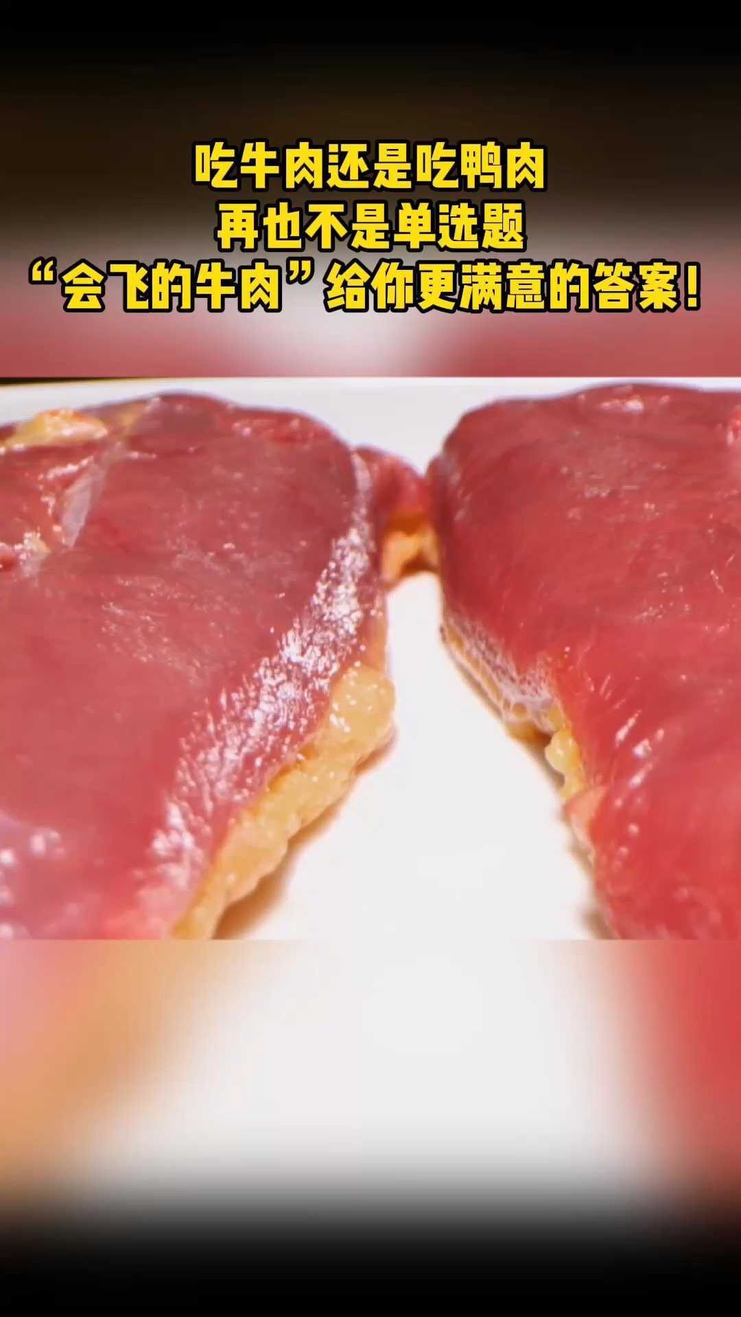 能吃会飞还爱打架,这只鸭子可不简单……
