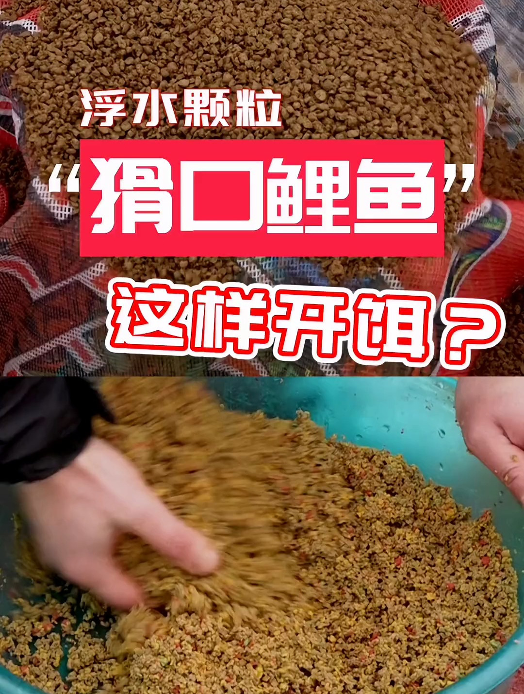 黑坑滑口鱼,它怕的到底是什么?