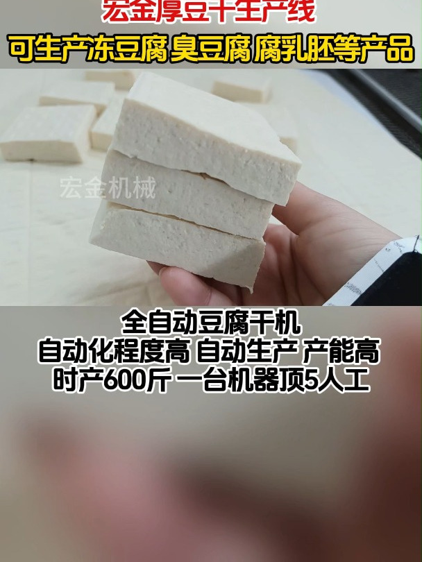 豆制品厂都在用 臭豆腐胚生产线 宏金全自动厚豆腐干机