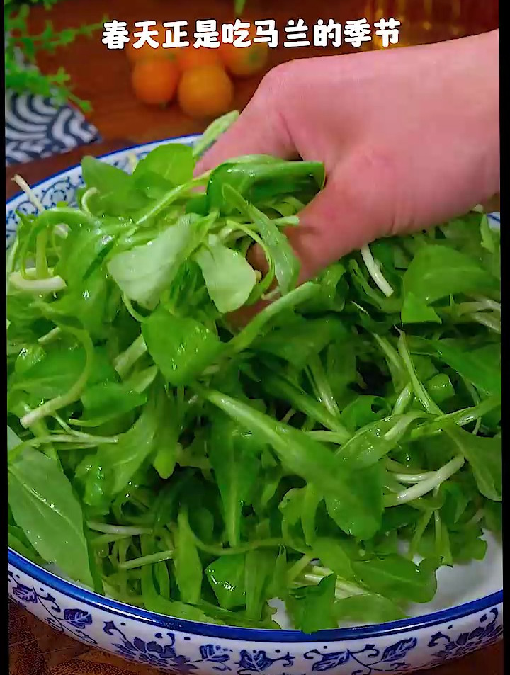 马兰好吃的做法!清香爽口!好吃下饭