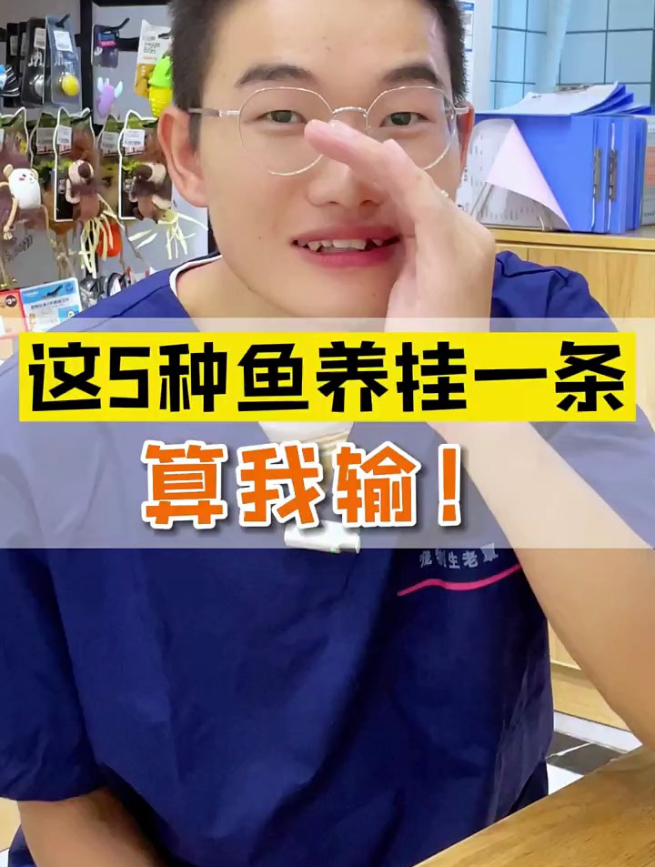 新手养不死的鱼,首选这五种 孔雀鱼 黑尾大勾 宠物鱼