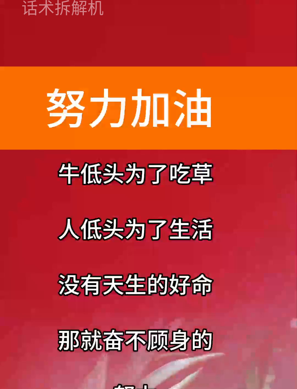 为何不能摆烂?立刻行动起来,努力加油向前冲