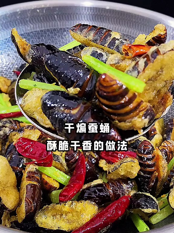 美食推荐 干煸蚕蛹