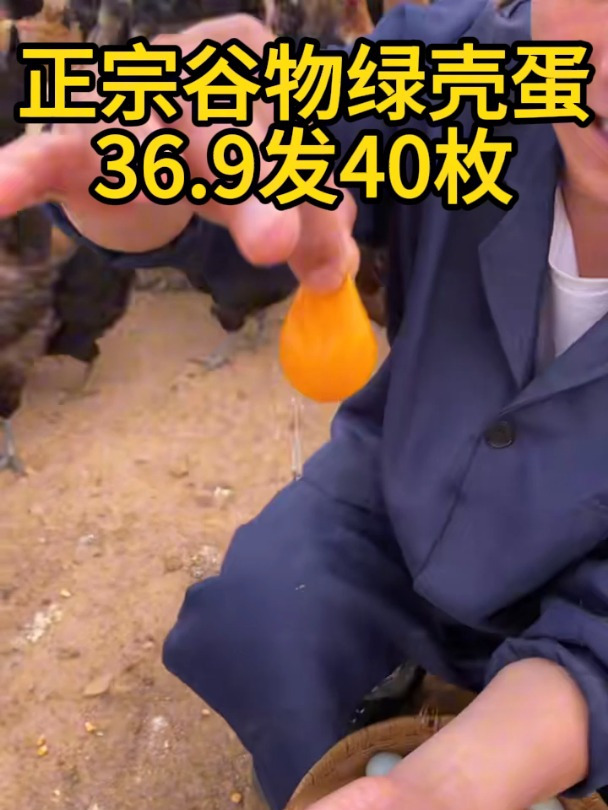 正宗绿壳散养谷物蛋