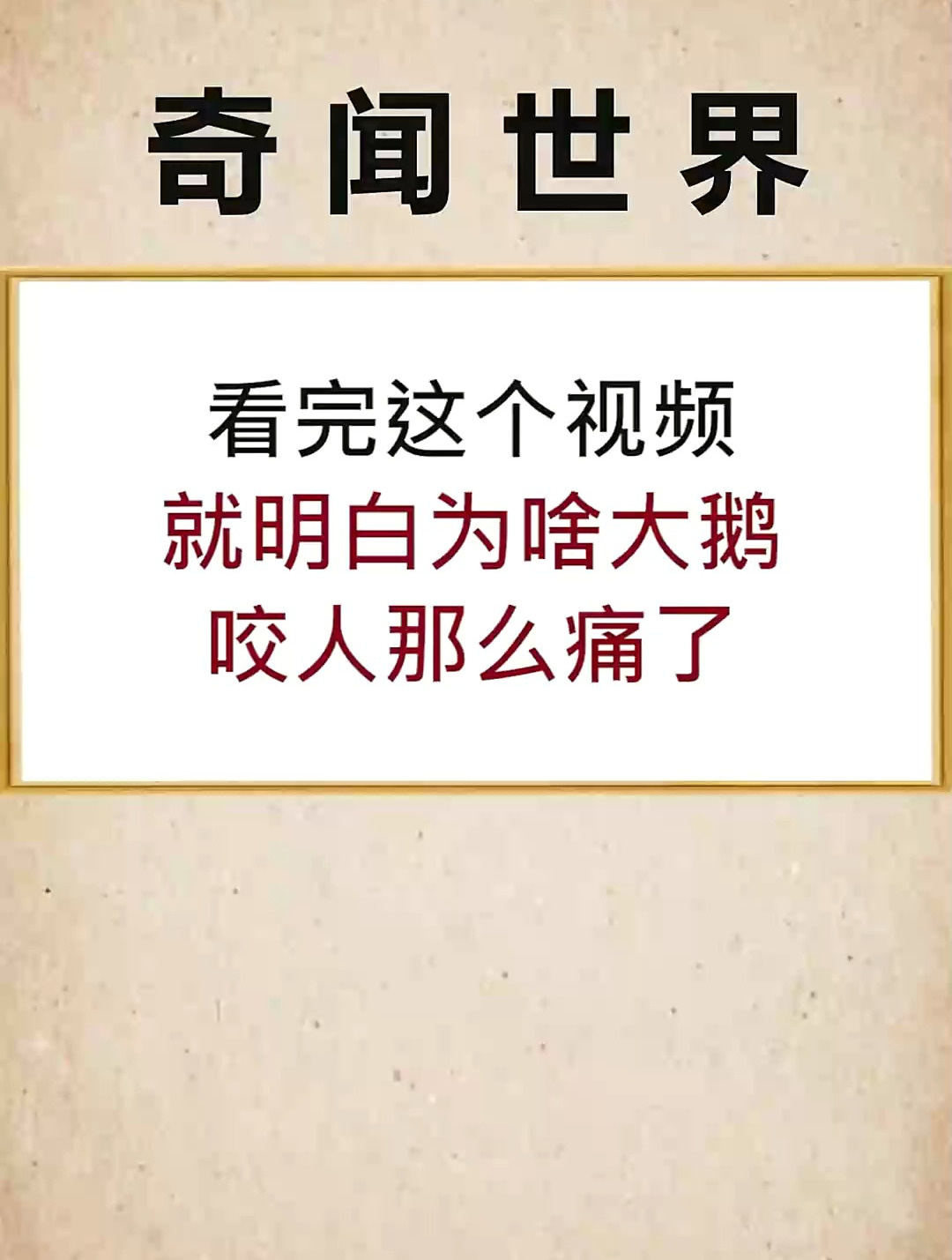 大白鹅咬人为什么那么痛