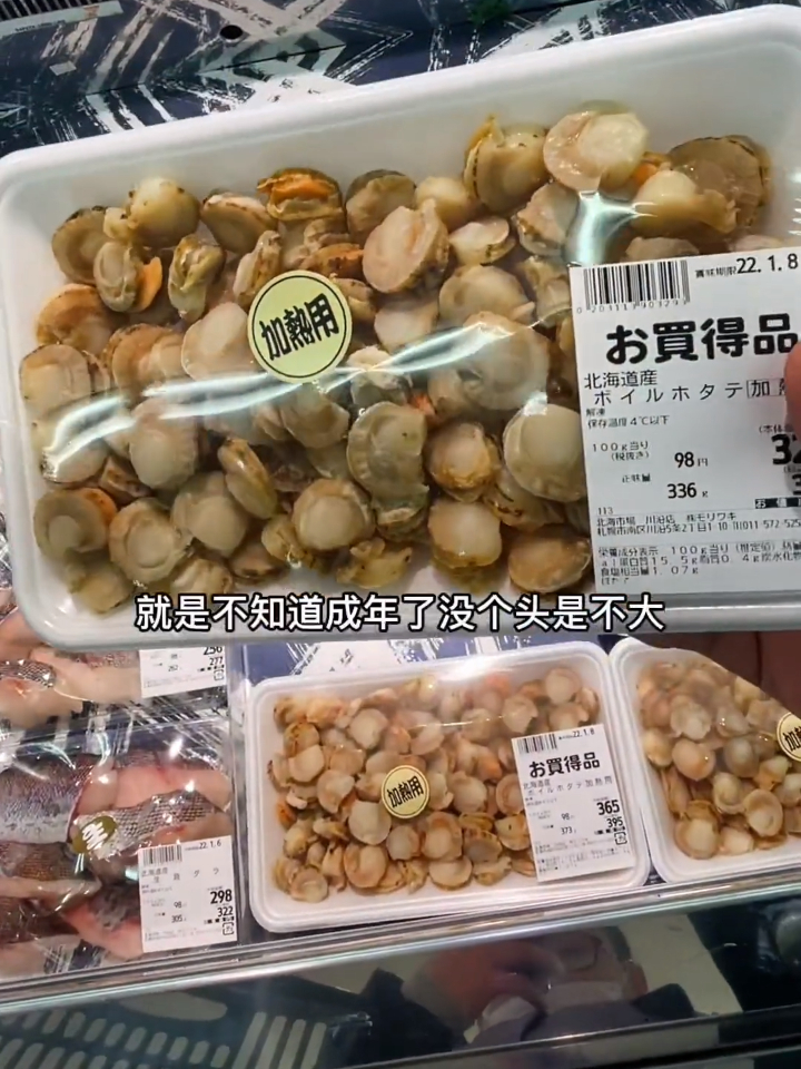 今天炒个辣炒扇贝,好小的扇贝肉啊,一口能吃好几个!