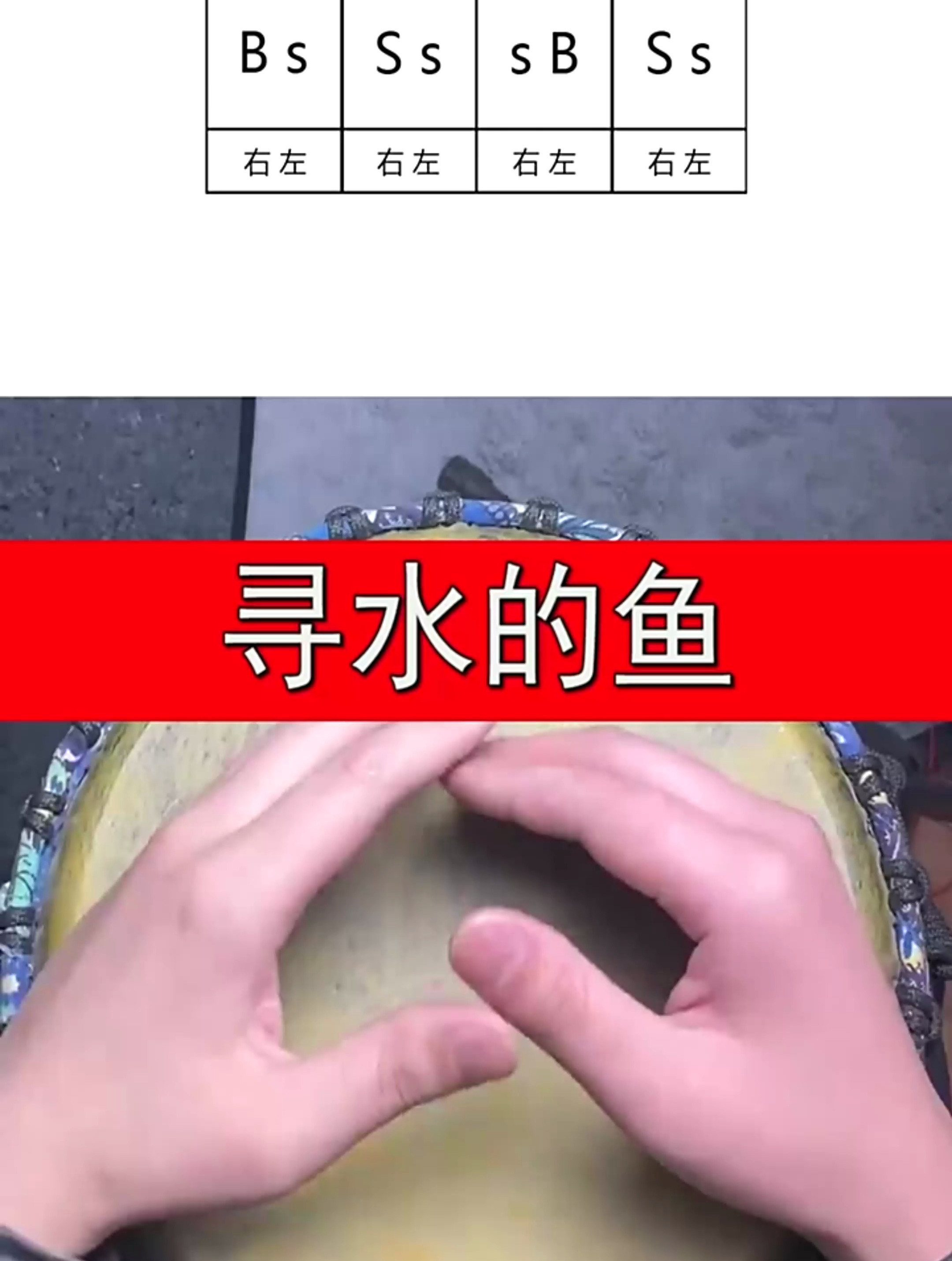 《寻水的鱼》非洲鼓教学手鼓零基础入门教程视频