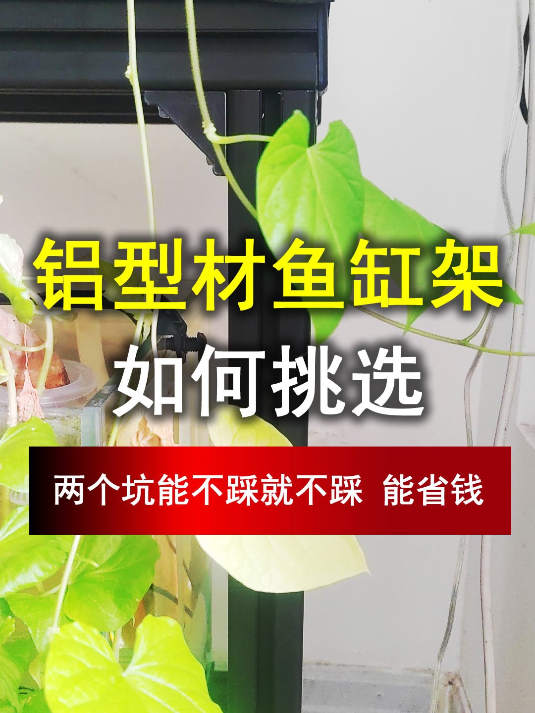 如何挑选铝型材鱼缸架?买铝型材鱼缸架之前,看完视频还能省钱