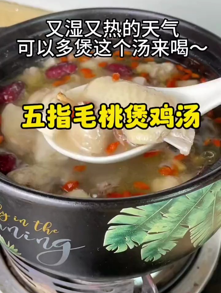 广东现在又湿又热的天气,很适合煲这个五指毛桃鸡汤,淡淡椰香味
