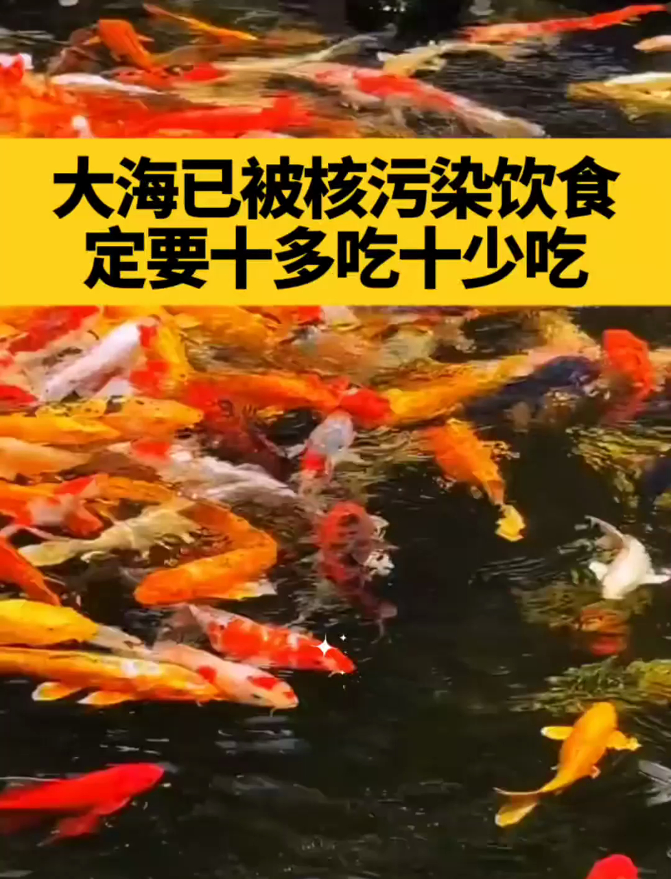 大海核污染,饮食牢记十多吃十少吃