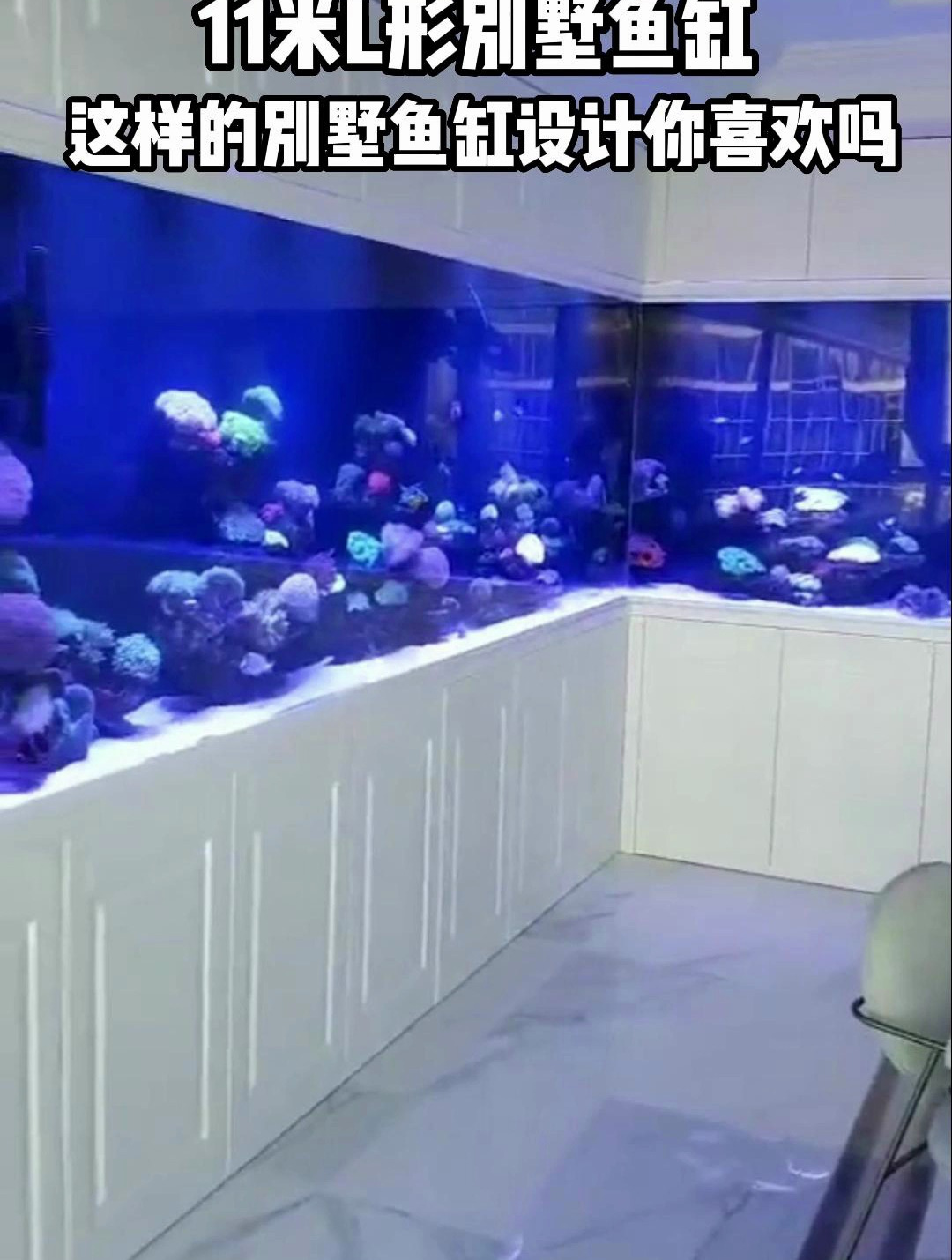 11米L形别墅鱼缸,这样的别墅鱼缸设计,你喜欢吗?