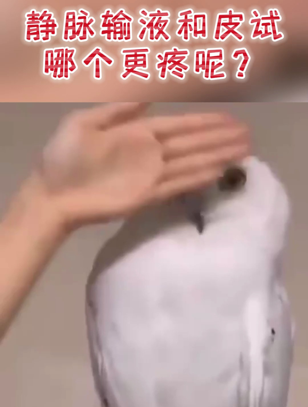 静脉输液和皮试哪个更疼嘞?