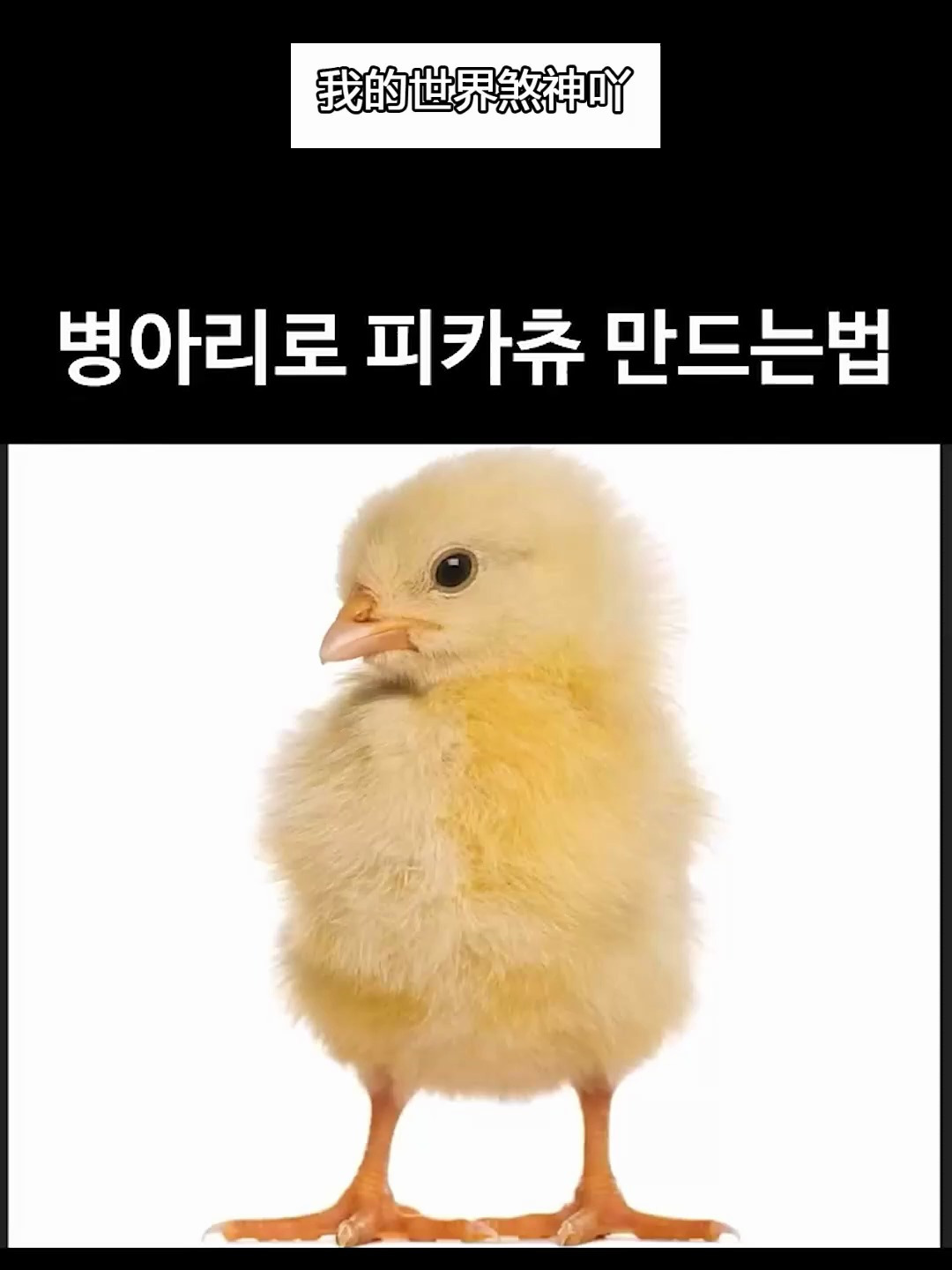 看我用小鸡图片做出皮卡丘!哈哈哈!