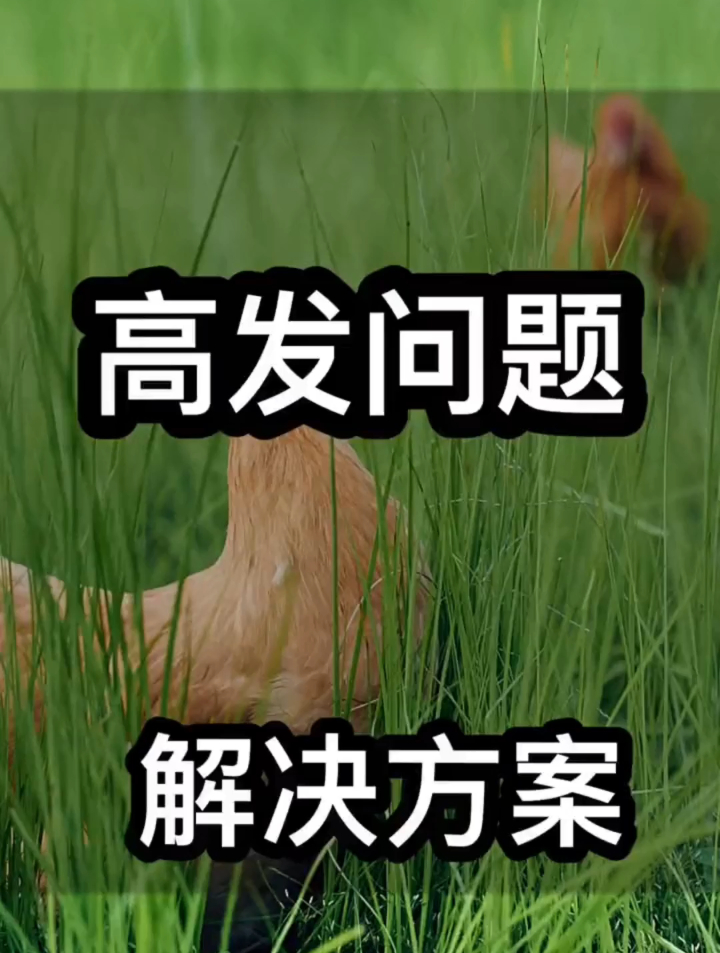 近期高发问题和解决方法,大家学会了吗,喜欢的赶快收藏起来