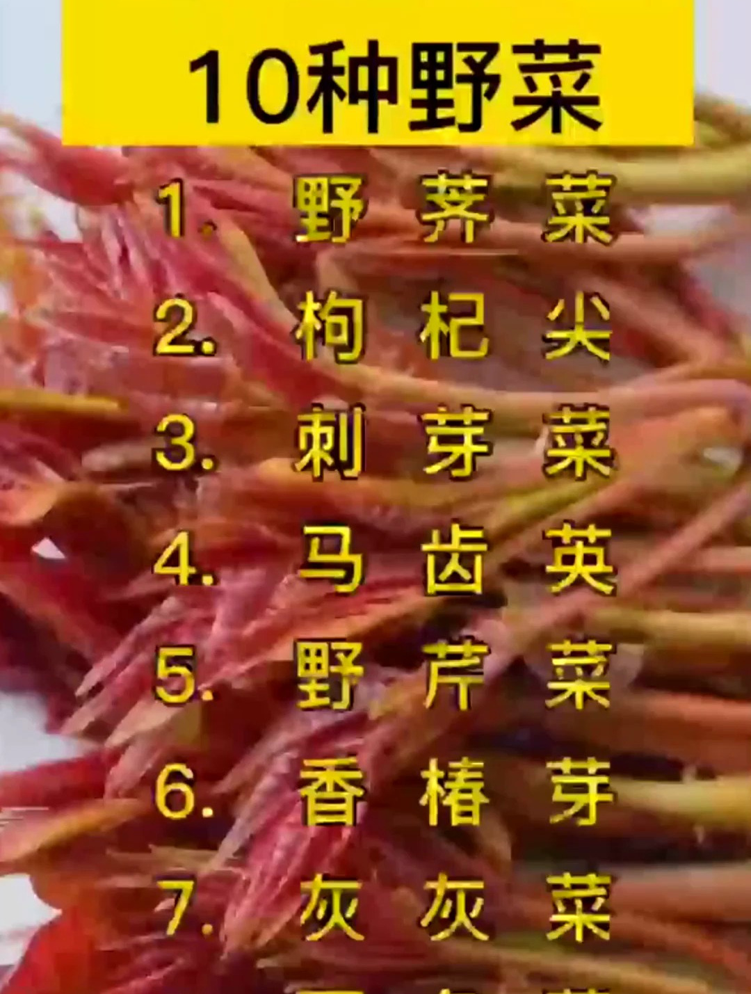 比肉还好吃的10种野菜,没吃过赶紧尝尝,别傻傻分不清!