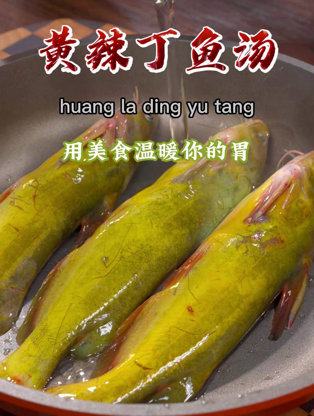 这样做的黄辣丁鱼汤,汤鲜味美,营养丰富,全家都隔三岔五