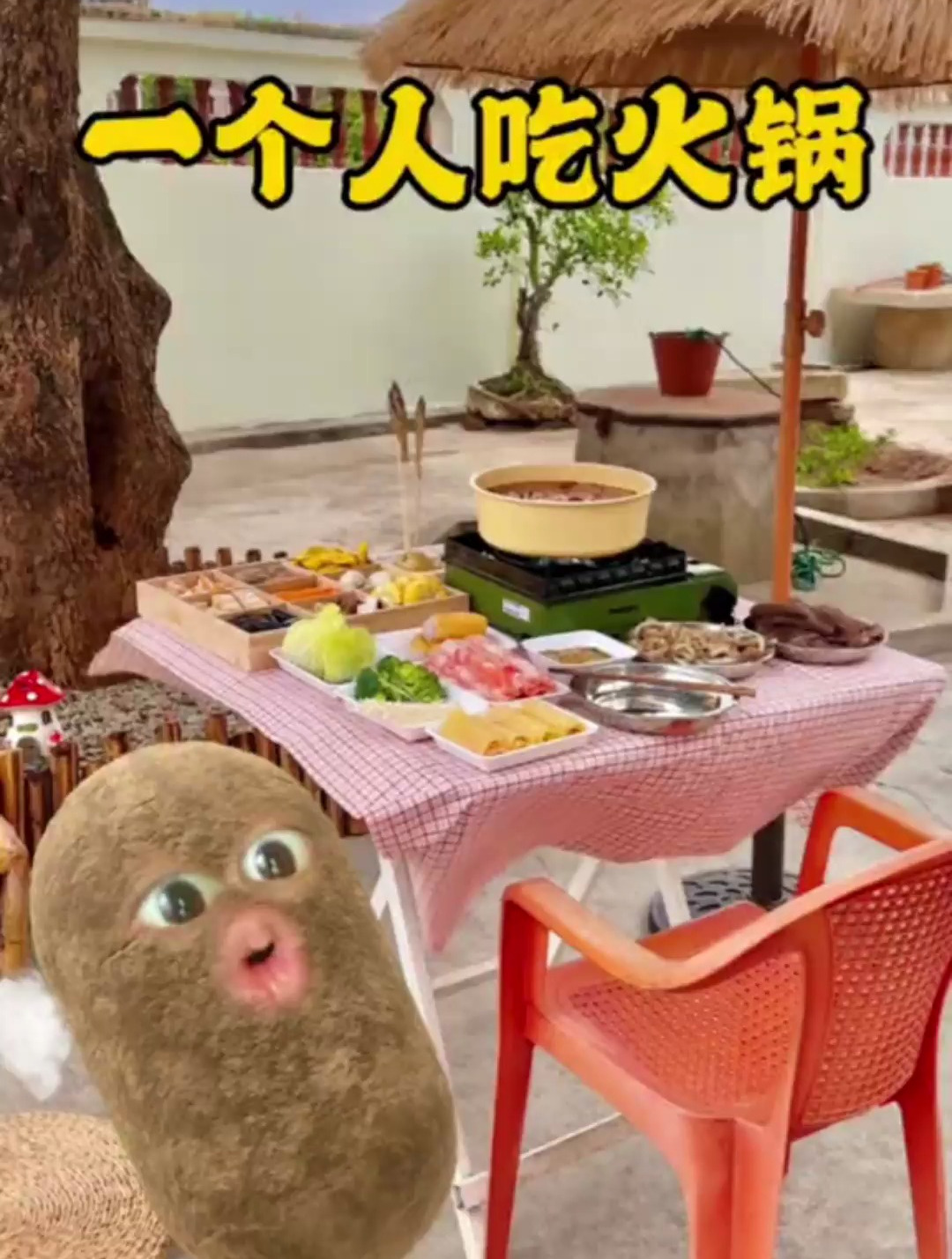 一个人吃火锅比较惨,还是没有火锅吃比较惨