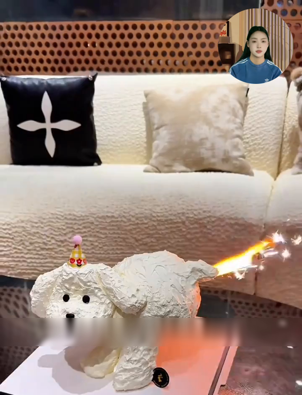 小狗拉巧克力奶油蛋糕！寓意狗屎运，奇特造型超吸睛