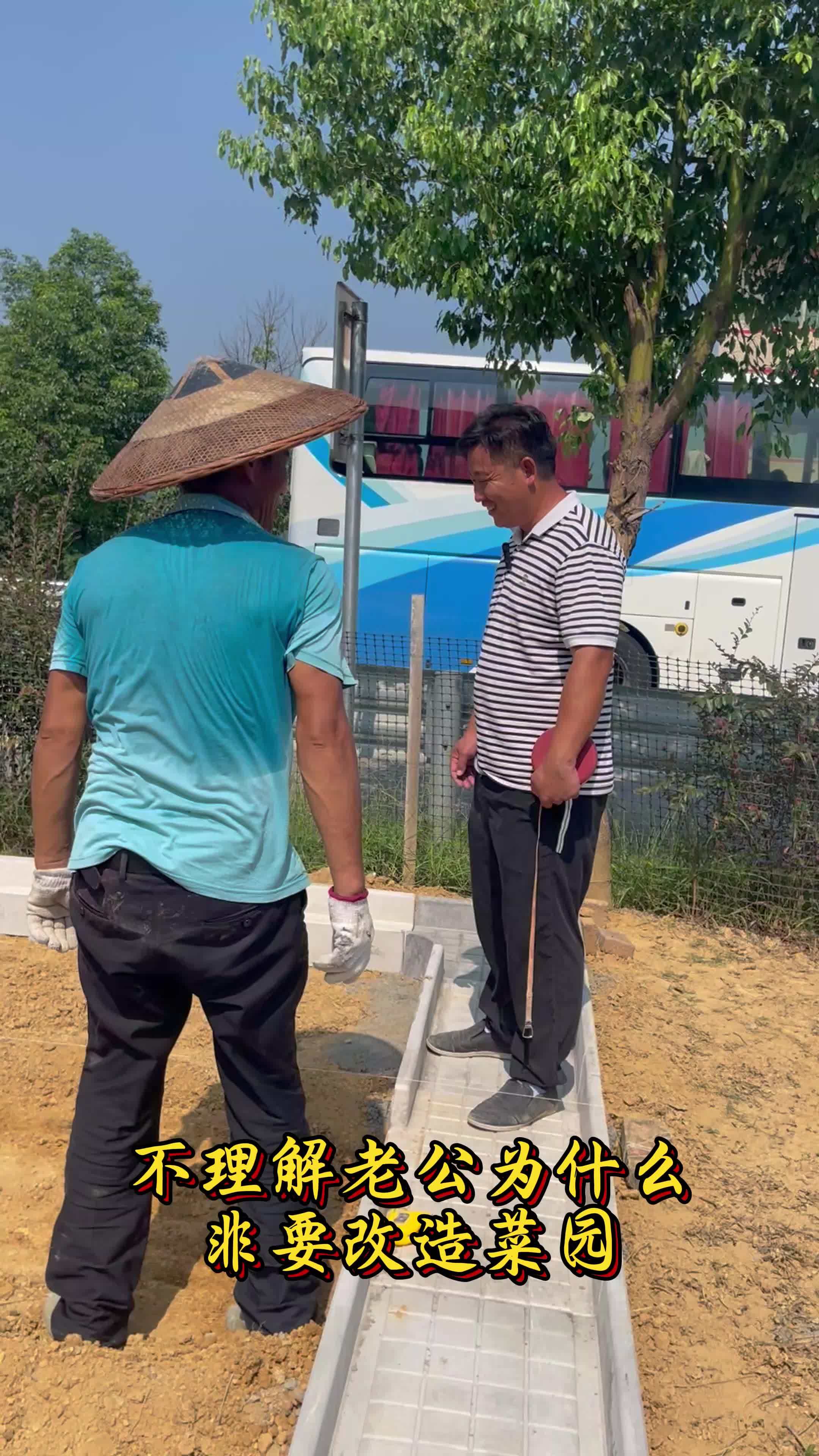 精致又实用的小菜园