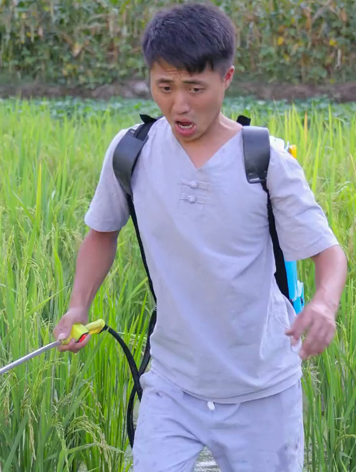 今天收获太大啦,抓了甲鱼和田螺回去做个螺蛳炖甲鱼