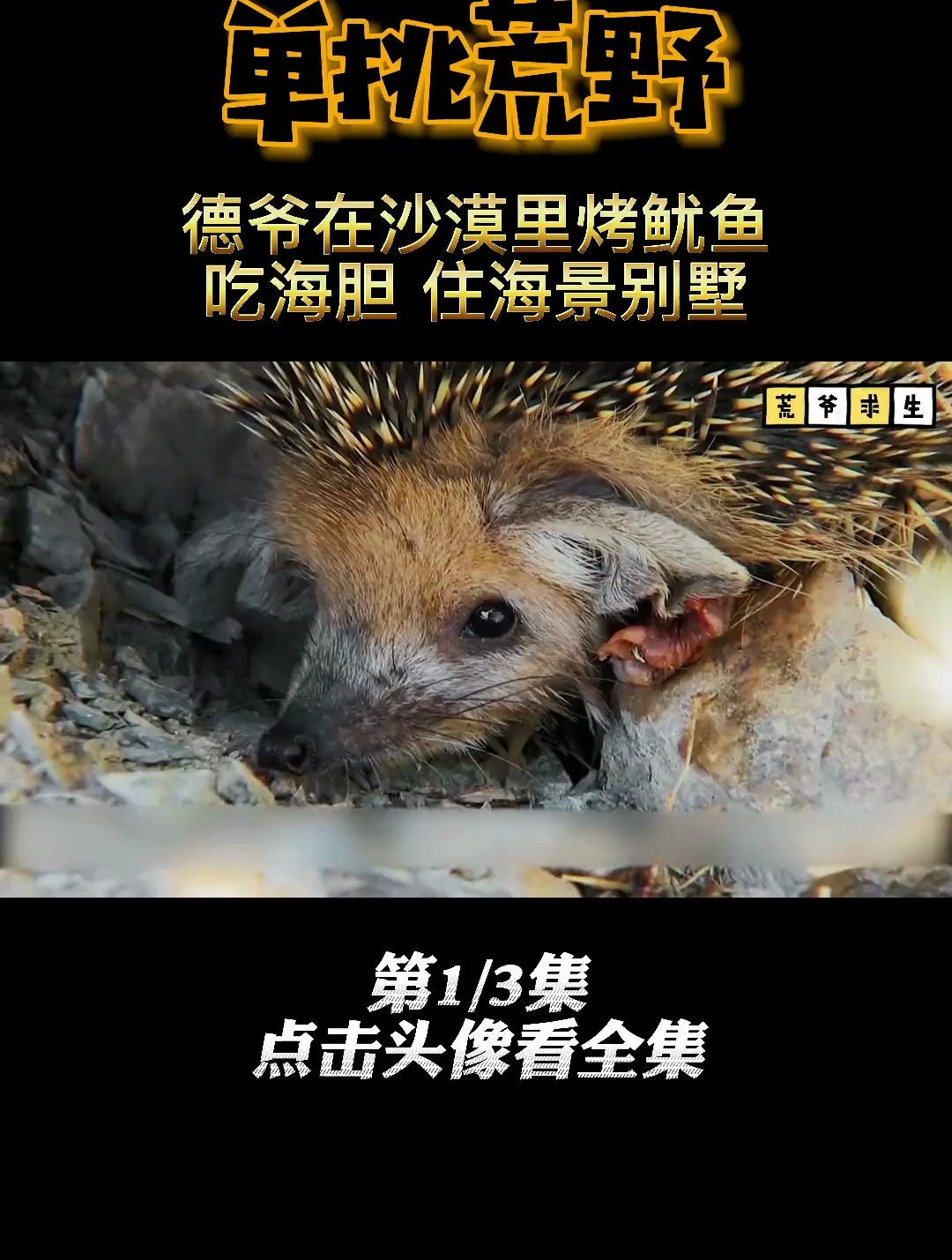 德爷在蒙古沙漠挑战生存10天 吃鱿鱼 烤海胆 住海景别墅