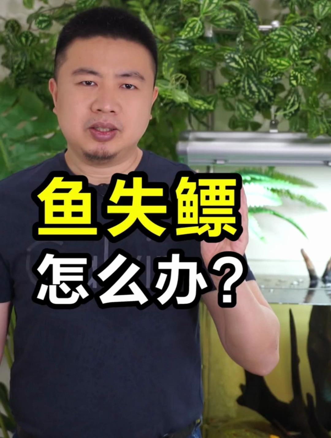 鱼失鳔 倒立 翻肚子怎么办