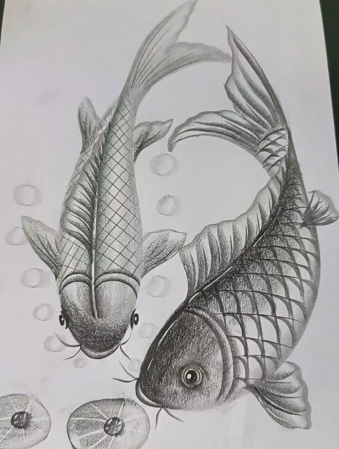 年年有鱼一起来画吧,一起学画画