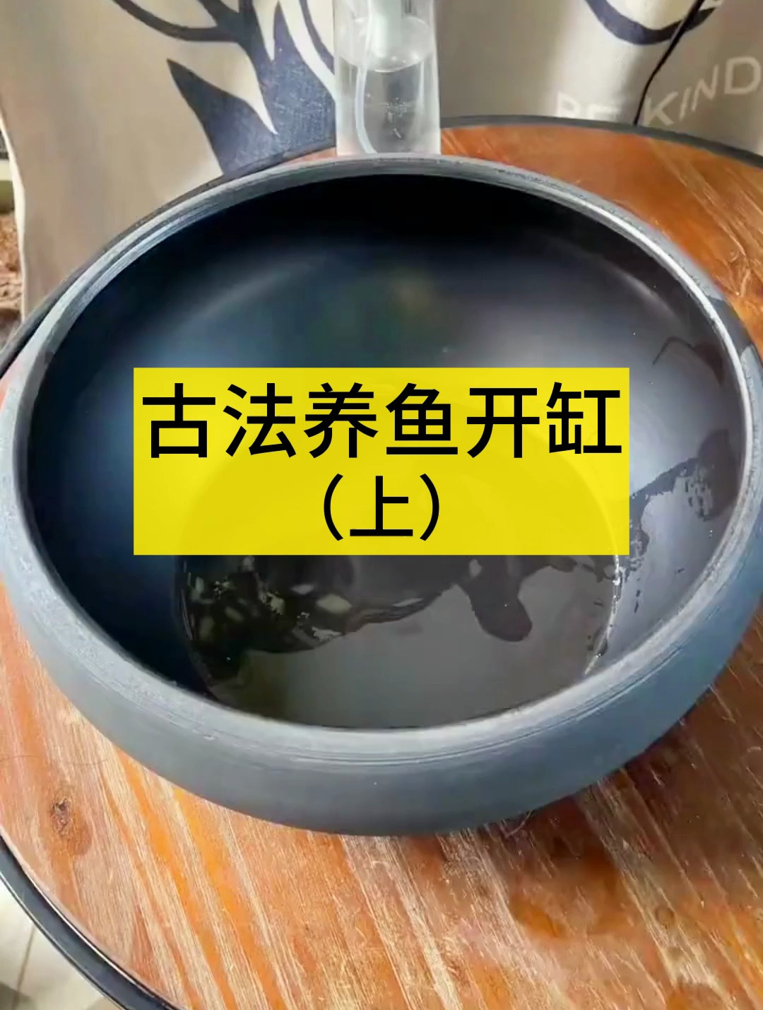 你知道养鱼怎么开缸吗?这个全过程真的很详细!
