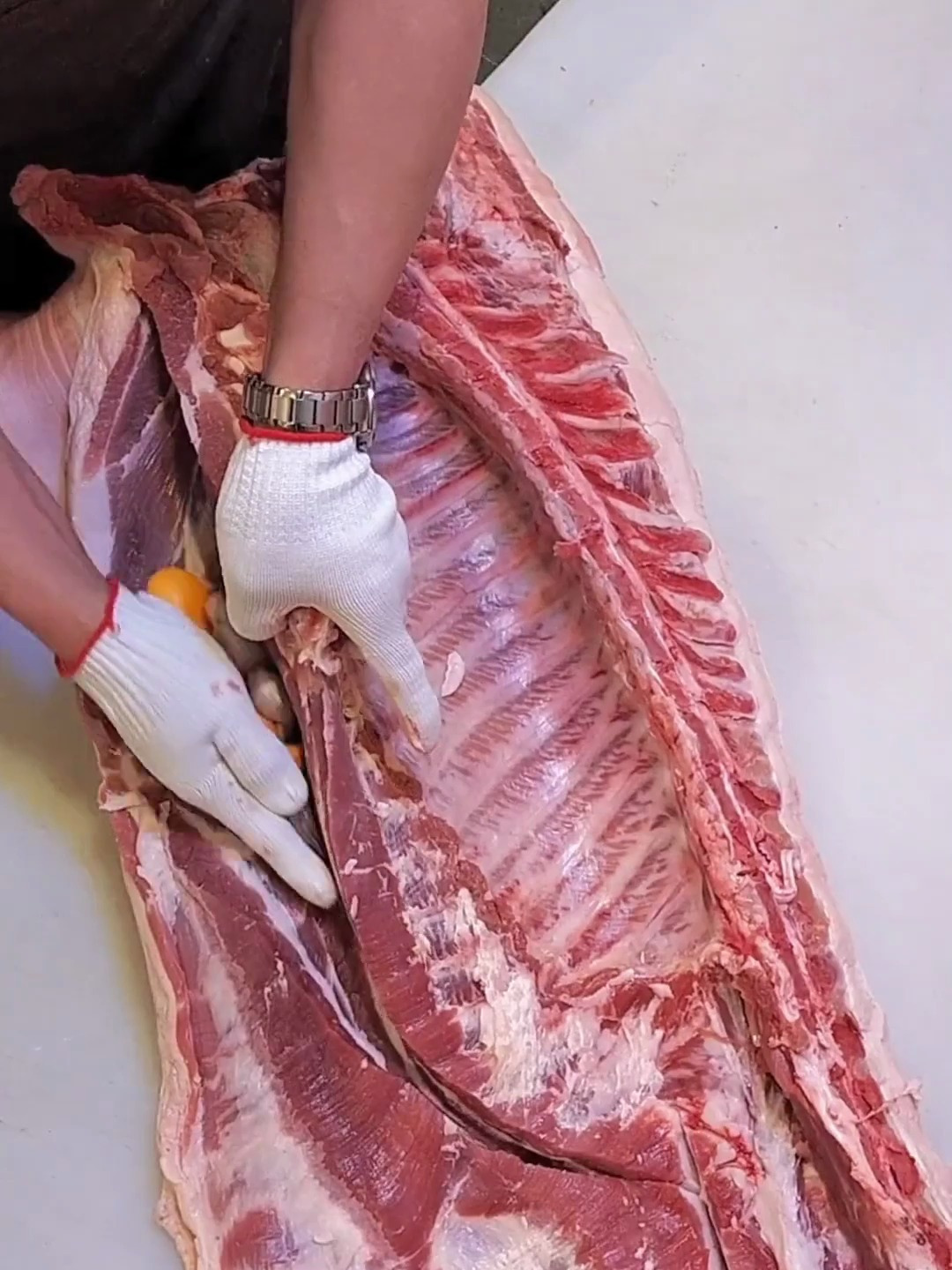 手把手教会你开肉 猪肉分割技巧