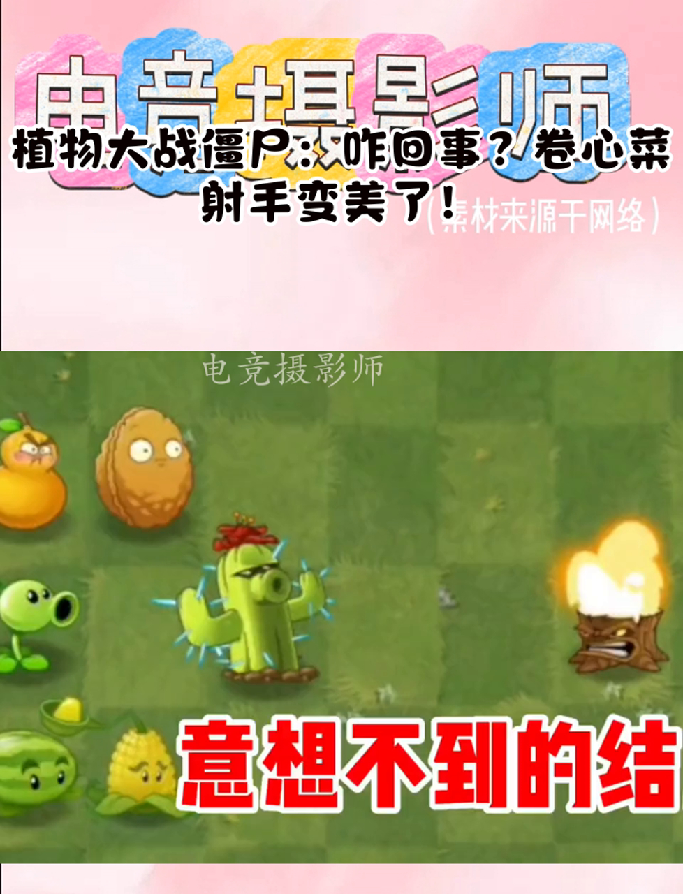 植物大战僵尸:咋回事?卷心菜射手变美了!