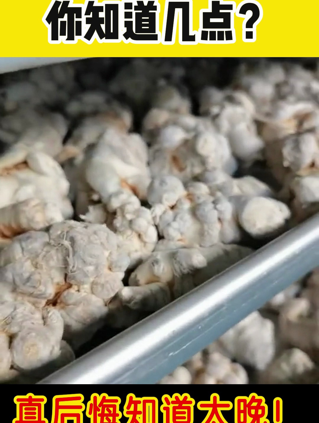 丽蜂堂三七原浆,正宗云南三七制作,精粹原液,小分子好吸收