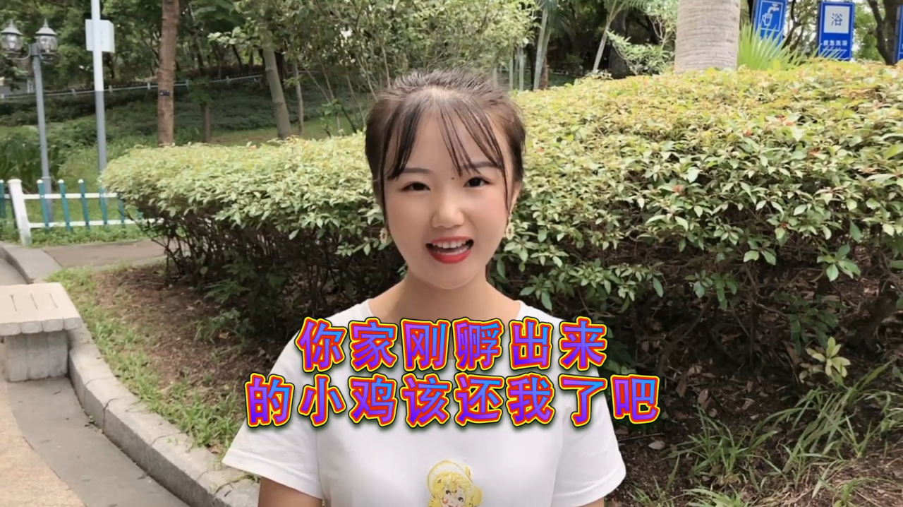 搞笑视频,你家刚孵出来的小鸡该还我了吧,这美女是一个人才!