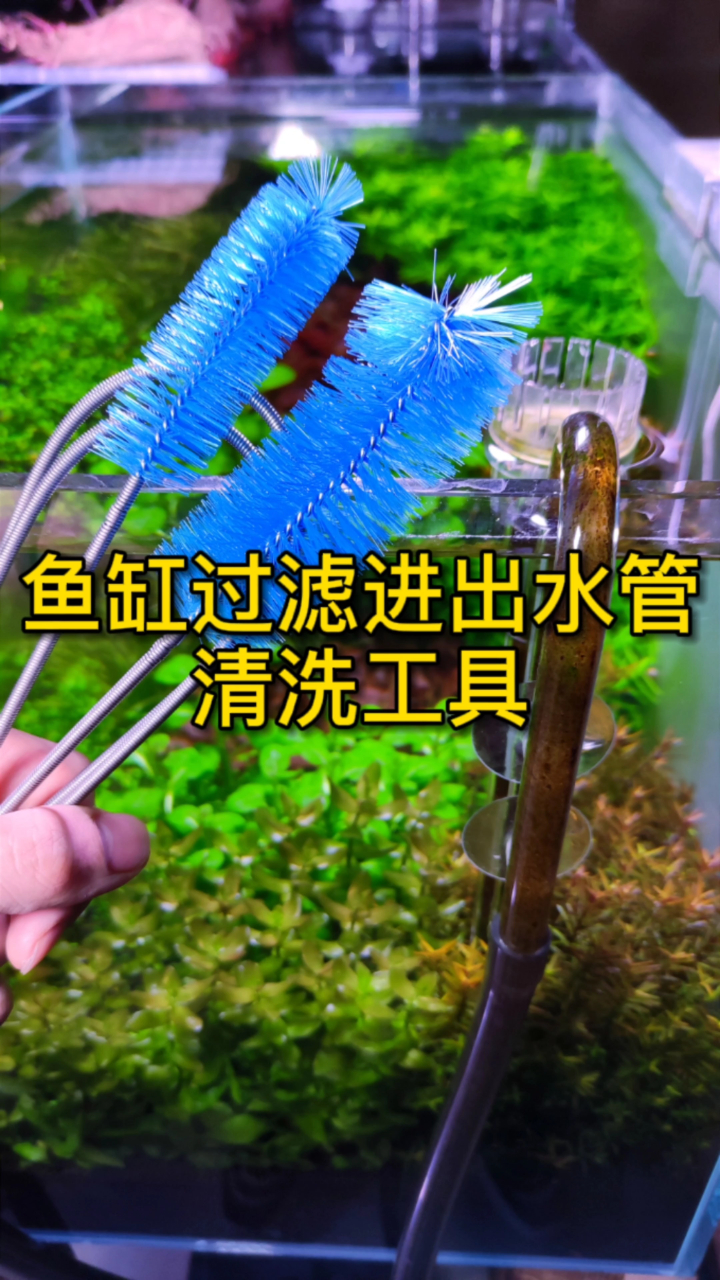 鱼缸、水草缸过滤桶的进出水管怎么清洗?用双头软管刷太方便了