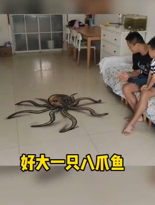 立体画,好大一只八爪鱼