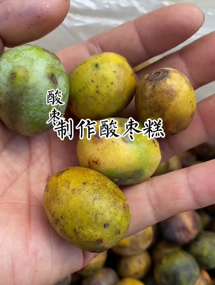 制作酸枣糕的全过程来了