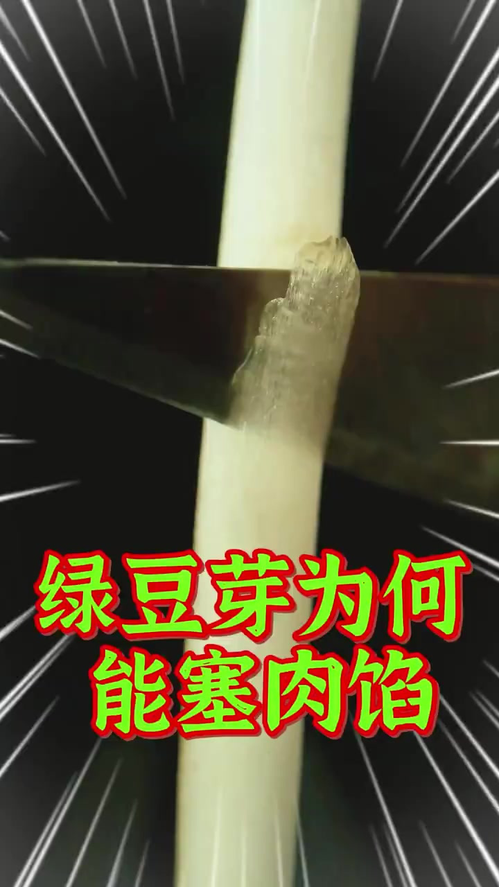 豆芽为何能塞肉馅,微距解压绿豆芽的内心,居然是空心的