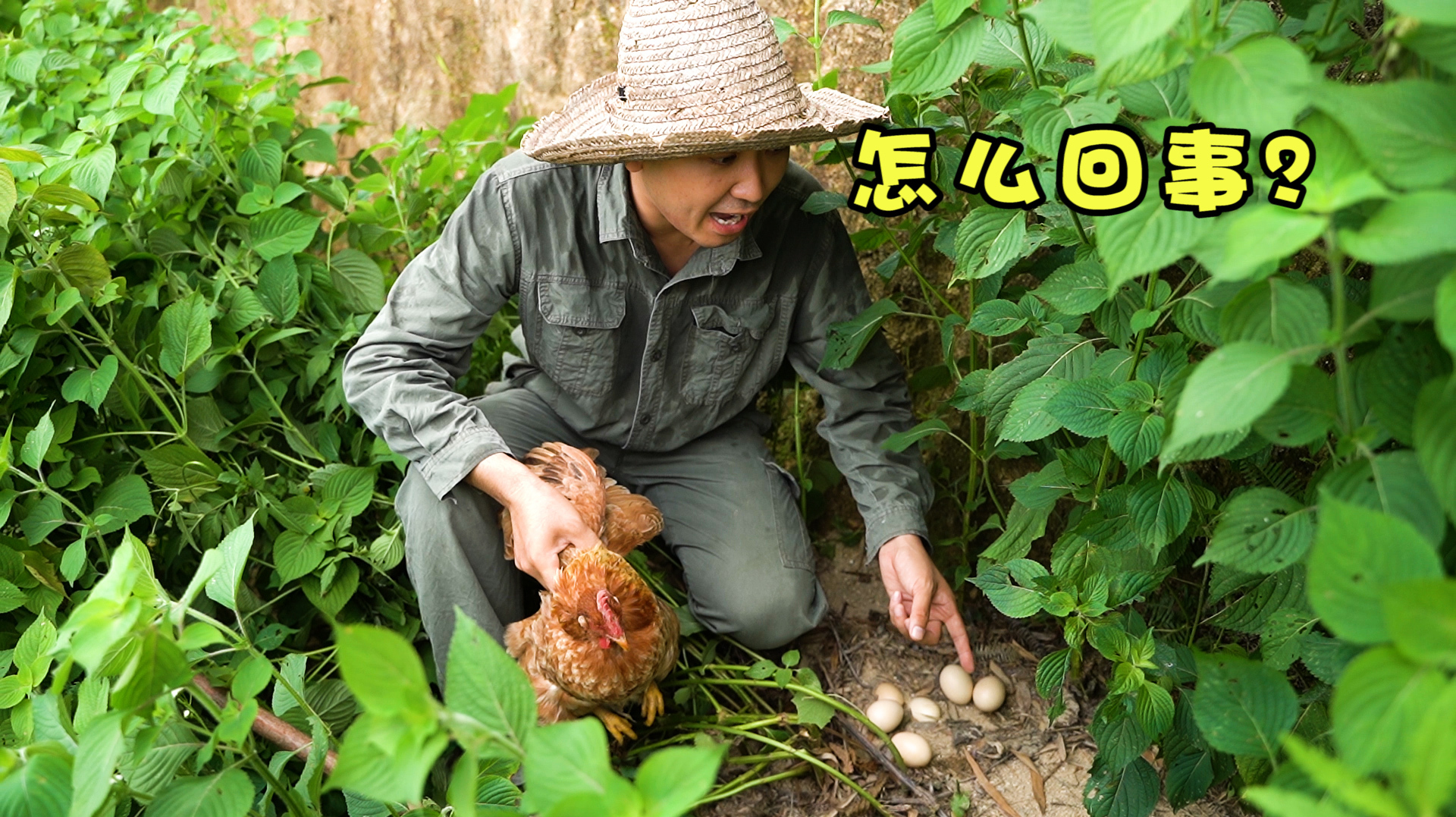 小伙千辛万苦找到失踪母鸡,偷偷上前一看,孵的鸡蛋让人不忍直视