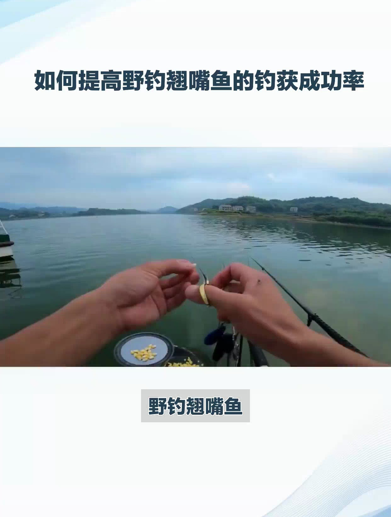 野钓翘嘴鱼,从钓法到用饵,全方位揭秘钓翘绝技