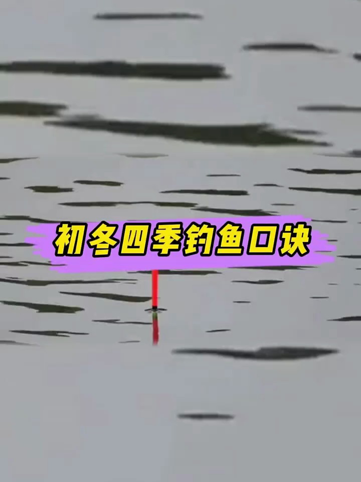 新手牢记四季钓鱼口诀,看完不怕空军