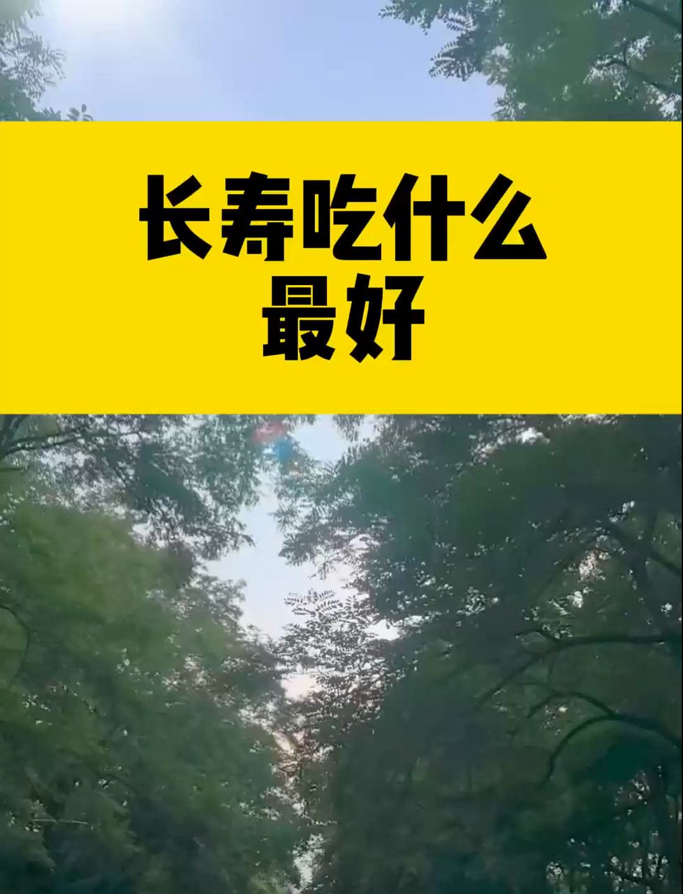 长寿吃什么最好?这 5 样食物,中老年人多吃