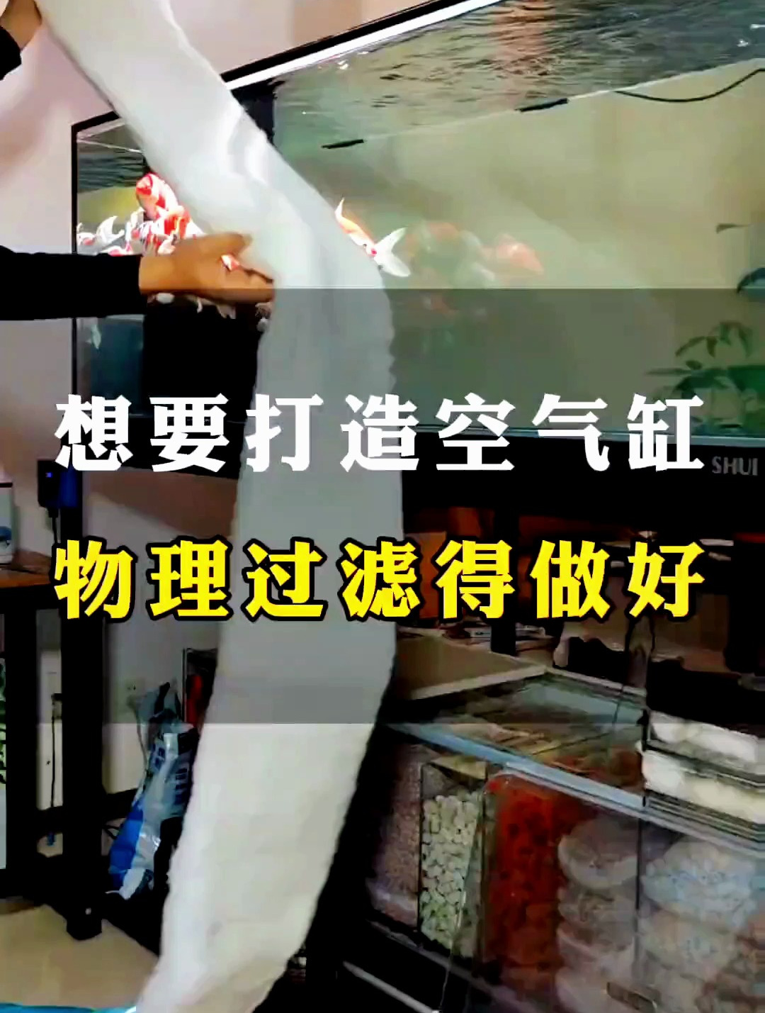 鱼缸里有细小颗粒杂质怎么办?物理过滤一定要做好!