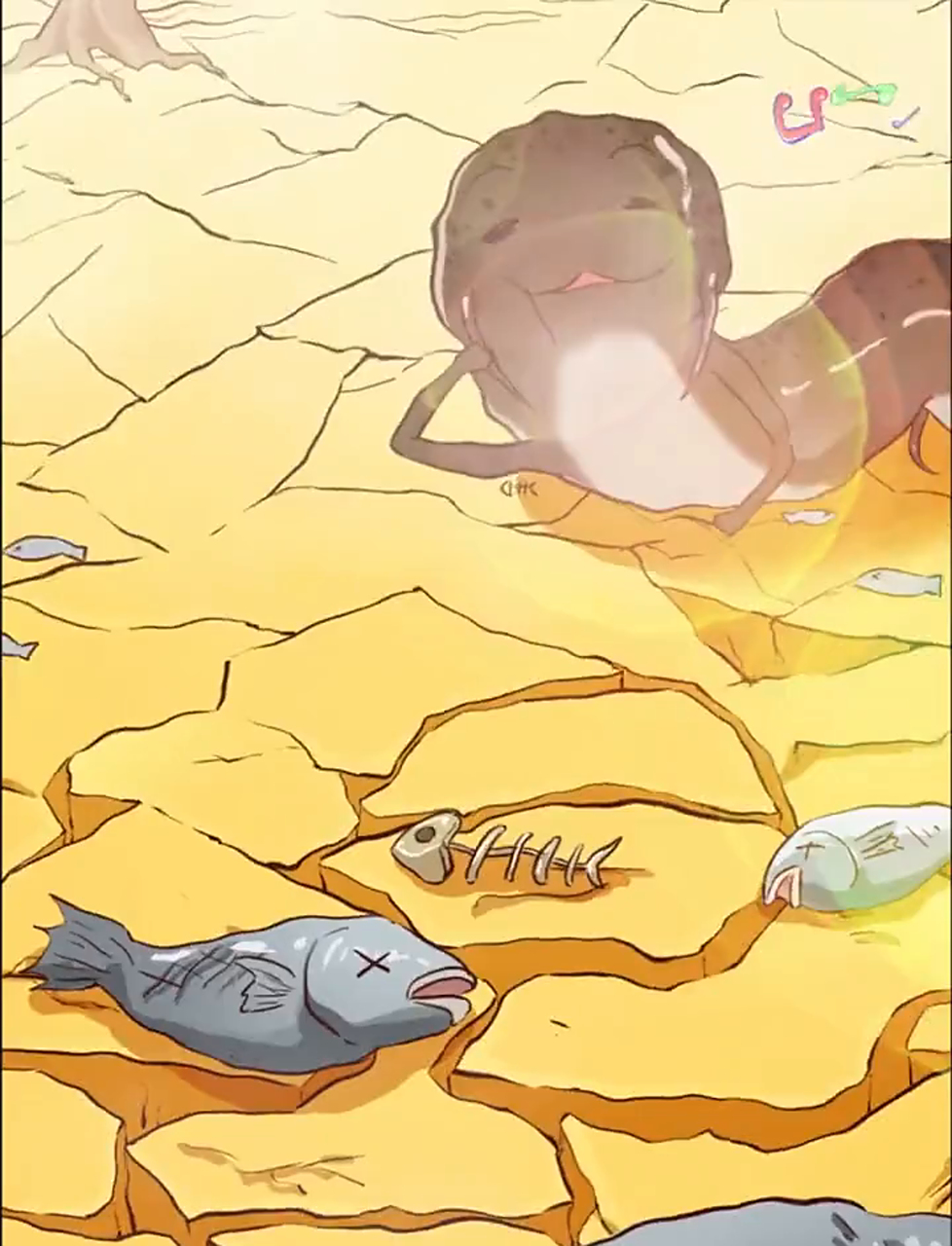 想要吃鱼直接土里挖,非洲肺鱼到底有多逆天?