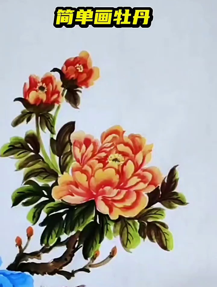 简单牡丹花的画法