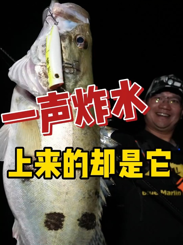 什么情况,鳜鱼也炸水?