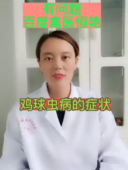 禽医恒艳谈鸡球虫病的症状和治疗养鸡拉红色血便是什么原因
