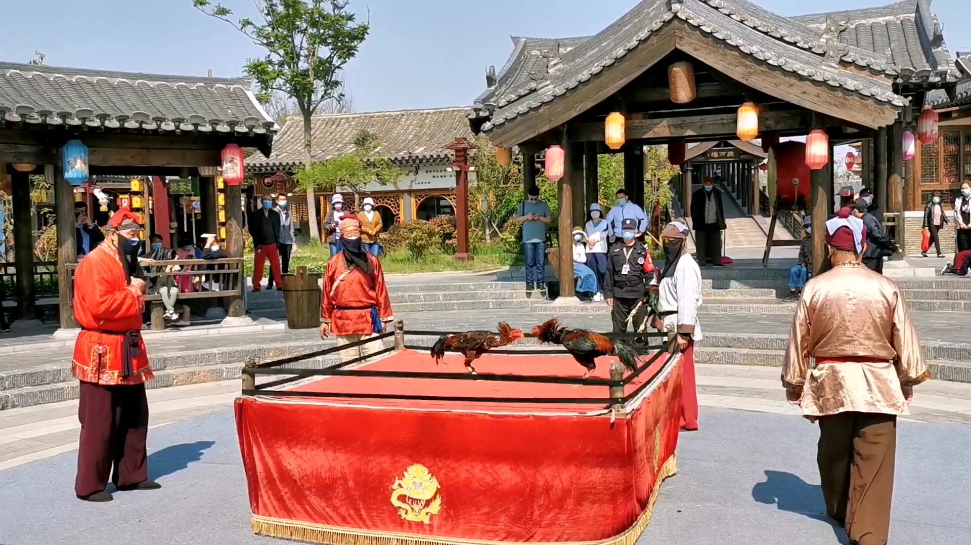 河南开封清明上河园表演节目:斗鸡