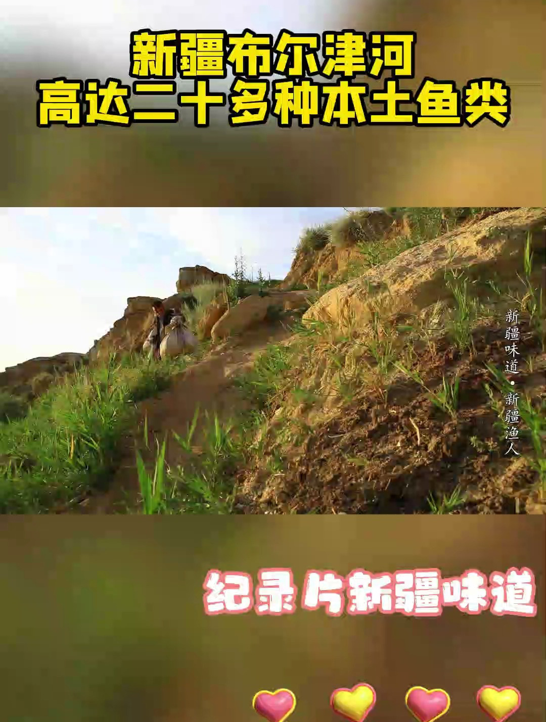 新疆布尔津河,高达二十多种本土鱼类