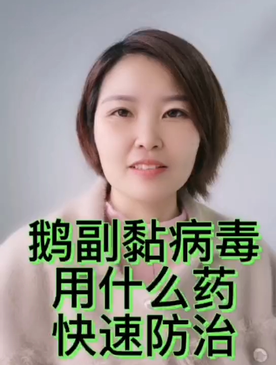 禽医静心谈什么是鹅副黏病毒病 鹅副黏病用什么药快速防治