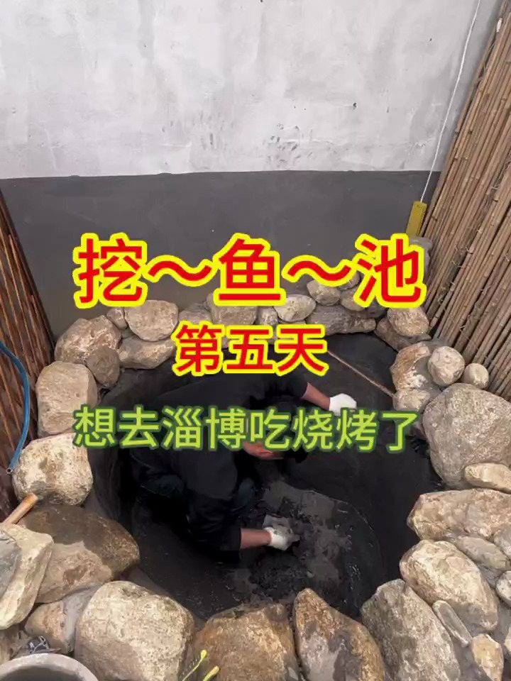 小院改造,自己动手挖鱼池的第五天,想去淄博吃烧烤了!
