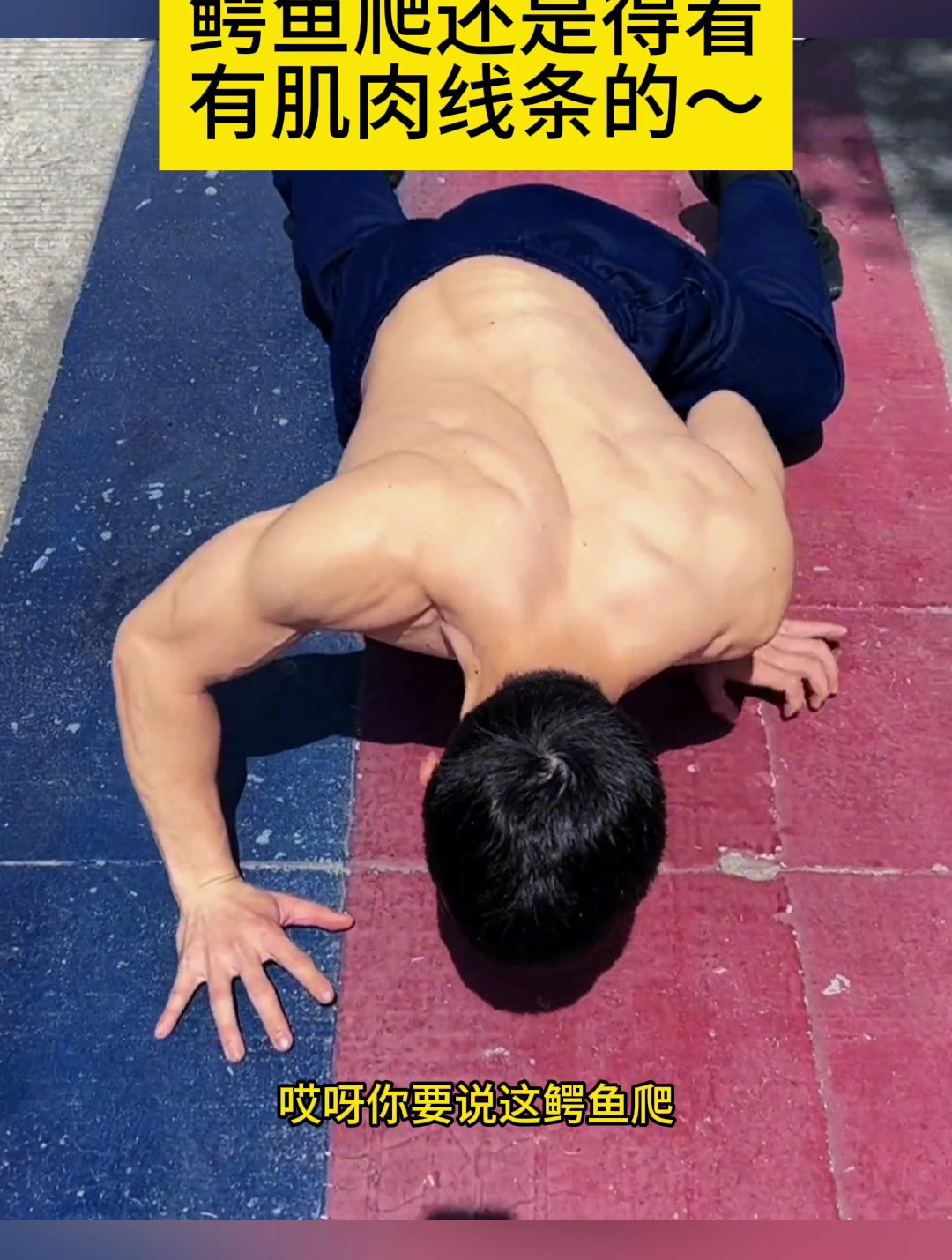 鳄鱼爬还是得看有肌肉线条的～